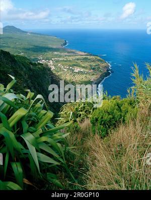 Baia da Ribeira das Cabras, Faial Island, Azoren, Portugal Stockfoto