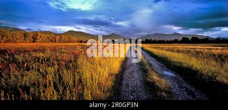 Wandern Sie am Kochelsee Moor in der Abendsonne und genießen Sie den Blick auf Jochberg, Herzogstand und Heimgarten, Oberbayern, Deutschland, Europa Stockfoto