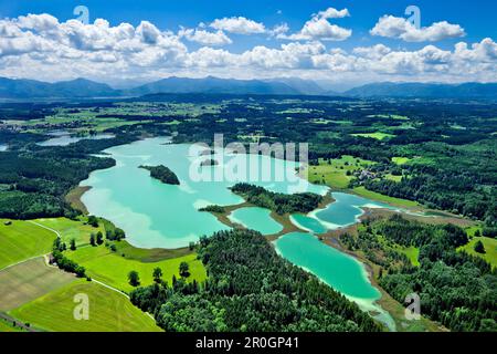 Luftaufnahme über die Seen Osterseen auf Jochberg, Herzogstand, Heimgarten, Ester und Wetterstein, Oberbayern, Deutschland, Europa Stockfoto