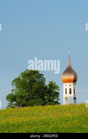 Blick über die Blumenwiese bis zum Turm, Oberbayern, Bayern, Deutschland Stockfoto