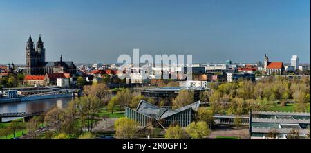 Blick über den Rotehornpark und die Elbe auf die Magdeburger Kathedrale, das Kloster Unser Lieben Frauen und St. John's Church, Magdeburg, Sachsen-Anhalt, Deutschland Stockfoto