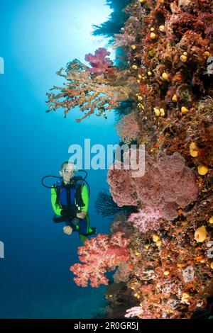 Taucher und Korallenriff, Namena Marine Reserve, Fidschi Stockfoto