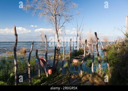 SaltLake Lago Enriquillo, Independencia Provinz, Dominikanische Republik Stockfoto