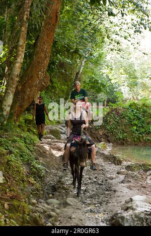 Reiten Tour zum Wasserfall Cascada El Limon, Las Terrenas, Halbinsel Samaná, Dominikanische Republik Stockfoto