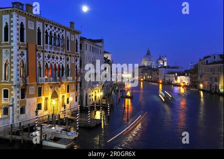 Blick von der Accademia-Brücke auf Santa Maria della Salute, Palazzo Barbaro, Venedig, Italien Stockfoto