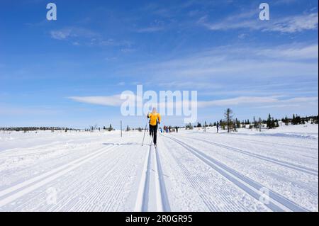 Skilanglauffreunde, Lillehammer, Oppland, Norwegen Stockfoto