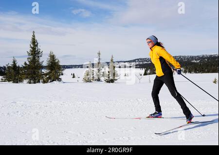 Skilanglaufskierinnen, Lillehammer, Oppland, Norwegen Stockfoto