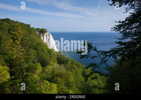 Blick von Victoria auf die Kreidefelsen Koenigstuhl, Jasmund Nationalpark, Insel Ruegen, Ostsee, Mecklenburg-Vorpommern, Deutschland, E Stockfoto