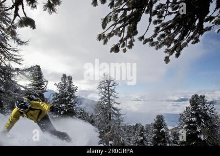 Snowboarder im Tiefschnee, Chandolin, Anniviers, Wallis, Schweiz Stockfoto