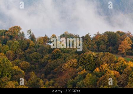 Luftaufnahme von Dronke Turm inmitten herbstlichen Bäume und steigende Nebel, ländlichen Bezirk des Landes Rheinland-Pfalz, Deutschland, Europa Stockfoto