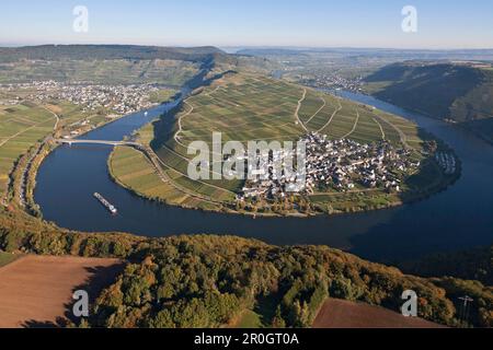 Luftaufnahme der Mosel in Piesport und Minheim, Eifel, Rheinland-Pfalz, Gemany, Europa Stockfoto