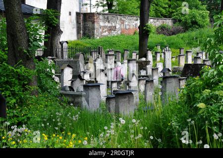 Remuh Friedhof im jüdischen Viertel Kazimierz, Krakau, Polen, Europa Stockfoto
