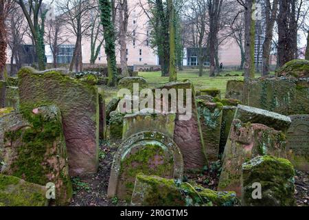 Jüdischer Friedhof Battonnstraße ist der älteste jüdische Friedhof in Frankfurt, Frankfurt am Main, Hessen, Deutschland, Europa Stockfoto