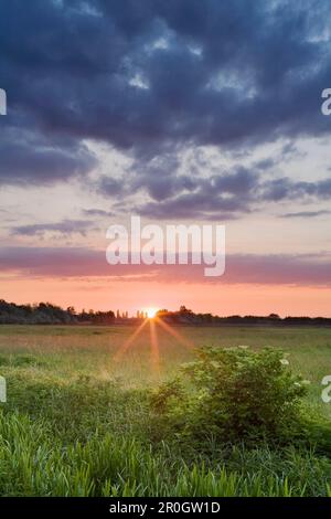 Wiese unter bewölktem Himmel bei Sonnenaufgang, Fertoe-Nationalpark, Neusiedlsee, Burgenland, Österreich, Europa Stockfoto