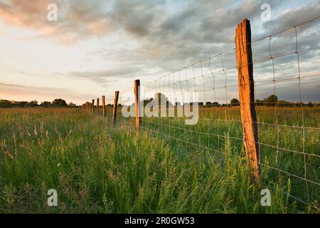 Zaun unter Wolken bei Sonnenaufgang, Fertoe-Nationalpark, Neusiedlsee, Burgenland, Österreich, Europa Stockfoto