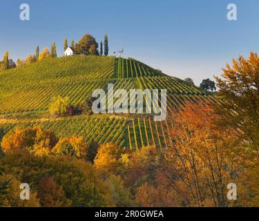 Weinberge und Haus im Sonnenlicht, südliche Steiermark, Steiermark, Österreich, Europa Stockfoto