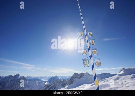 Mai-Baum am Sonnalpin, Blick auf dem Zugspitzplateau, Zugspitze, Bayern, Deutschland Stockfoto