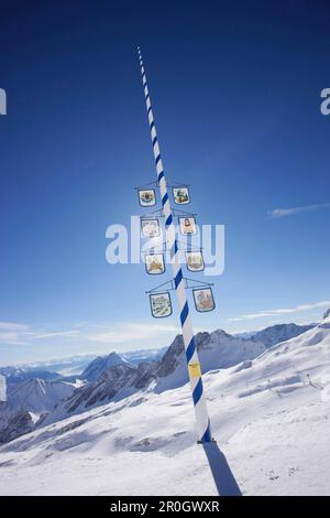 Mai-Baum am Sonnalpin, Blick auf dem Zugspitzplateau, Zugspitze, Bayern, Deutschland Stockfoto