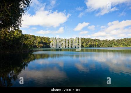 Lake Eacham, Crater Lakes National Park, Atherton Tablelands, Queensland, Australien Stockfoto