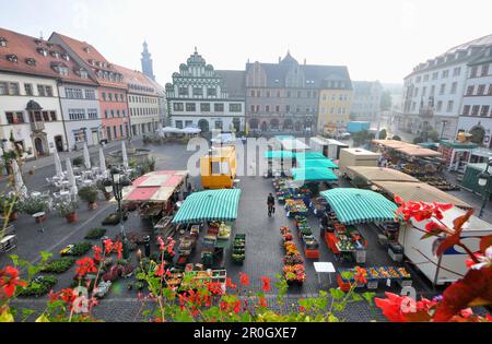 Blick auf den Markt auf dem Marktplatz Weimar, Thüringen, Deutschland Stockfoto