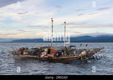 Fischereiplattform Bagan, Cenderawasih Bay, West Papua, Papua-Neuguinea, Neuguinea, Ozeanien Stockfoto