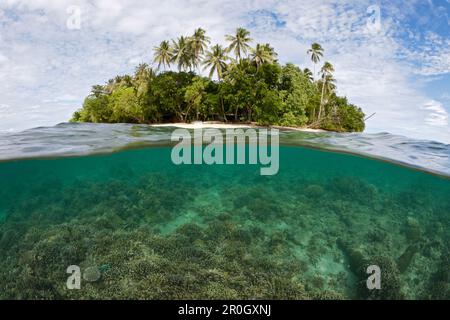 Schnorcheln in der Lagune von Ahe Island, Cenderawasih Bay, West Papua, Papua-Neuguinea, Neuguinea, Ozeanien Stockfoto