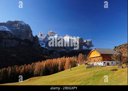 Bauernhaus vor den Felswänden der Sella Range, Corvara, Dolomiten, UNESCO-Weltkulturerbe Dolomiten, Südtirol, Italien, Europa Stockfoto