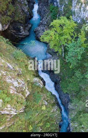 Aerielblick von einer Brücke auf die Leutasch-Schlucht, Mittenwald, Bayern, Deutschland Stockfoto