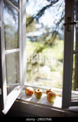 Äpfel auf Fensterbank, am Hochpillberg, Schwaz, Tirol, Österreich Stockfoto