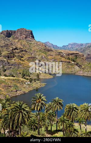 Stausee Presa de Soria, Gran Canaria, Kanarische Inseln, Spanien Stockfoto