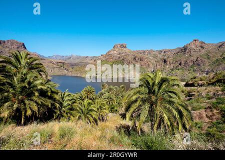 Stausee Presa de Soria, Gran Canaria, Kanarische Inseln, Spanien Stockfoto