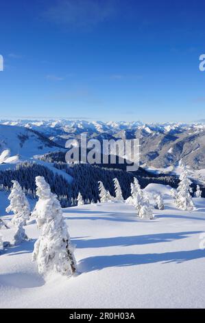 Winterwald mit Tal am Tegernsee im Hintergrund, Wallberg, Tegernseer Range, Bayerische Voralpen, Oberbayern, Bayern, Deutschland Stockfoto