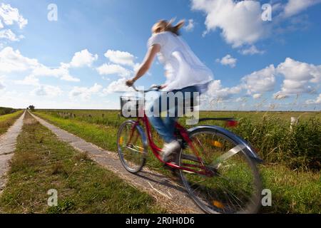 Junge Frau auf dem Fahrrad im Salzmarsch, Wadden Land, Nordseeküste, Niedersachsen, Deutschland, Europa Stockfoto