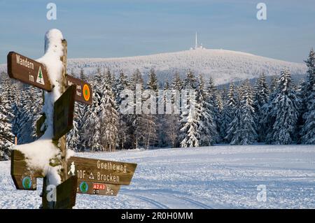 Wegweiser für Wanderer, verschneiter Wald, Brocken im Hintergrund, Braunlage, Harz, Niedersachsen, Deutschland Stockfoto