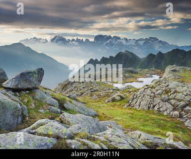 Val Nambrone Tales und Brenta massive Bergkette im Morgenlicht, Brenta Adamello Naturschutzgebiet, Trentino, Italien Stockfoto