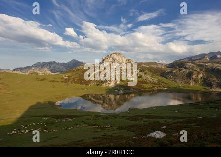 Lago de la Ercina im Sonnenlicht, Parque Nacional de los Picos de Europa, Picos de Europa, Provinz Asturien, Fürstentum Asturien, N Stockfoto