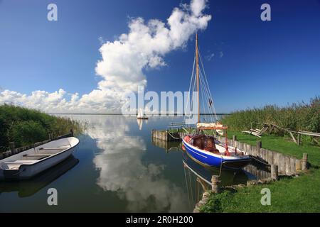 Kleiner Hafen in Wustrow, Saaler Bodden, Halbinsel Fischland-Darss-Zingst, Ostseeküste, Mecklenburg-Vorpommern, Deutschland Stockfoto