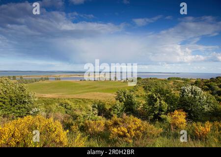 Blick von Dornbusch auf Grieben und Vitter Bodden, Hiddensee Island, Nationalpark Lagunenregion Westpommern, Mecklenburg Westpommern, Germ Stockfoto