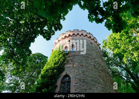 Schloss Ortenberg, Ortenberg, Offenburg, Baden-Württemberg, Deutschland, Europa Stockfoto