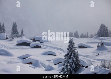 Tiefer Winter in den Sonnenberger Alpen, schneebedeckte Alpenhäuser, Skigebiet Mürren-Schilthorn, Mürren, Lauterbrunnental, Jungfrauregion, Berner Obe Stockfoto