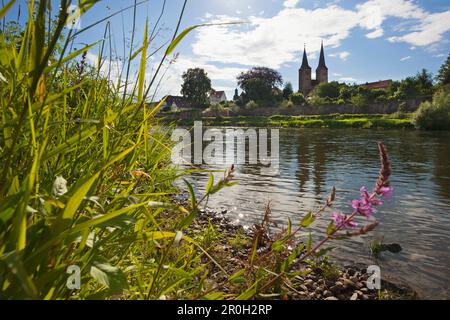 Blick über Weser gelegen auf St. Kiliani-Kirche, Höxter, Weserbergland, North Rhine-Westphalia, Deutschland, Europa Stockfoto