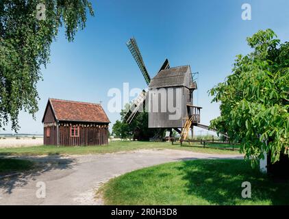 Windmühle unter blauem Himmel, Wolmirstedt, Sachsen-Anhalt, Deutschland, Europa Stockfoto