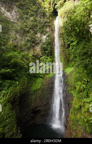 Wasserfall Middleham Falls, Morne Trois Pitons National Park, Dominica, Leeward Antillen, Kleine Antillen, Antillen, Karibik, Westindischen Inseln, Central Am Stockfoto