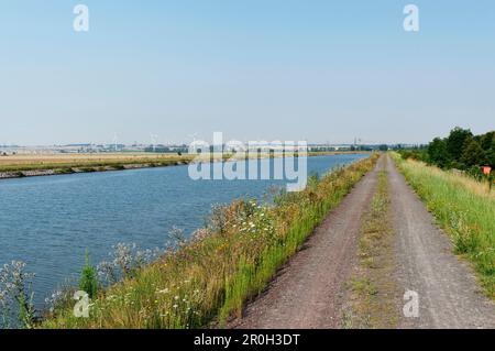 Unbefestigte Straße neben dem Midland-Kanal, Weser-Elbkanal, Wolmirstedt, Sachsen-Anhalt, Deutschland, Europa Stockfoto