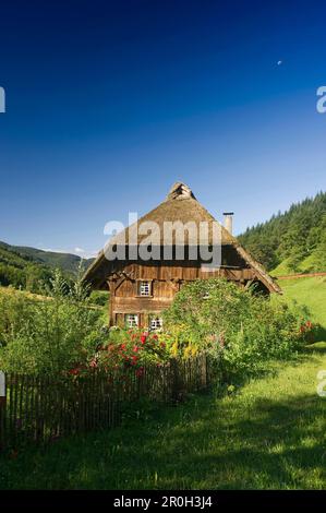 Alte Mühle und Bauernhof Garten, Oberprechtal, Schwarzwald, Baden-Württemberg, Deutschland, Europa Stockfoto