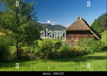 Alte Mühle und Bauernhof Garten, Oberprechtal, Schwarzwald, Baden-Württemberg, Deutschland, Europa Stockfoto