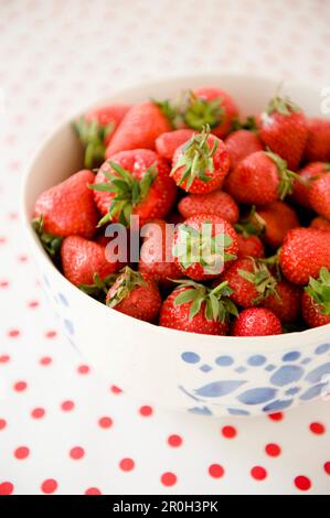 Frische Erdbeeren in einer Schüssel, Obst, gesundes Essen, Bayern, Deutschland Stockfoto