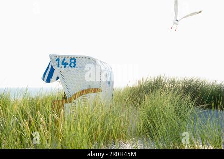 Weißer Strandstuhl mit Möwe in Sanddünen, Sandbank, Nebel, Amrum, Nordfriesische Inseln, Schleswig-Holstein, Deutschland Stockfoto