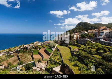 Küstenstadt und terrassenförmige Anbaufläche am Mittelmeer, Banyalbufar, Mallorca, Spanien Stockfoto