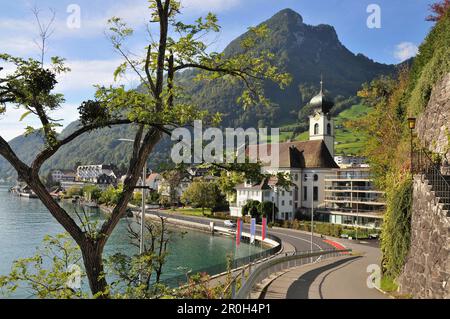 Blick auf Gersau am Vierwaldstättersee, Kanton Schwyz, Zentralschweiz, Schweiz, Europa Stockfoto